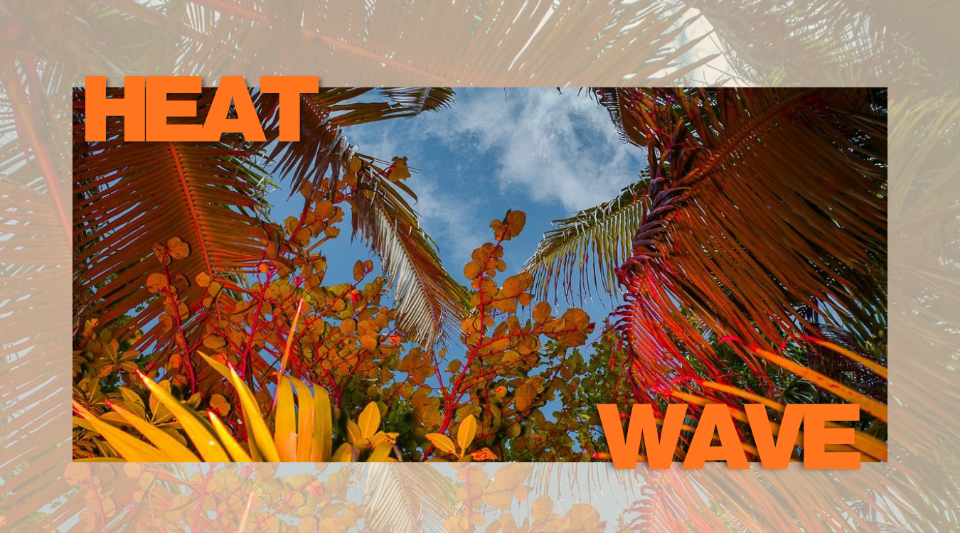 HEAT WAVE at The Blue Note on May 9, 2026